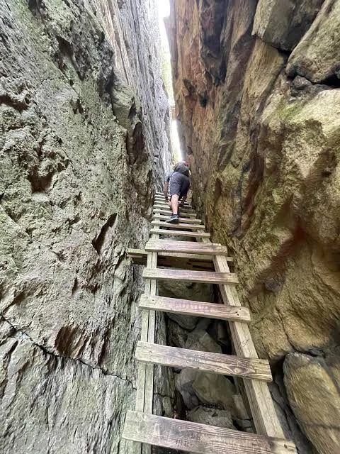 A wooden ladder climbing a narrow rock crevice